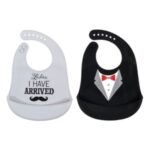 HUDSON 2PK SILICONE BIB