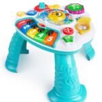 BABY EINSTEIN DISCOVERING