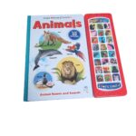 CD PRESS-SEE LEARN & HEAR