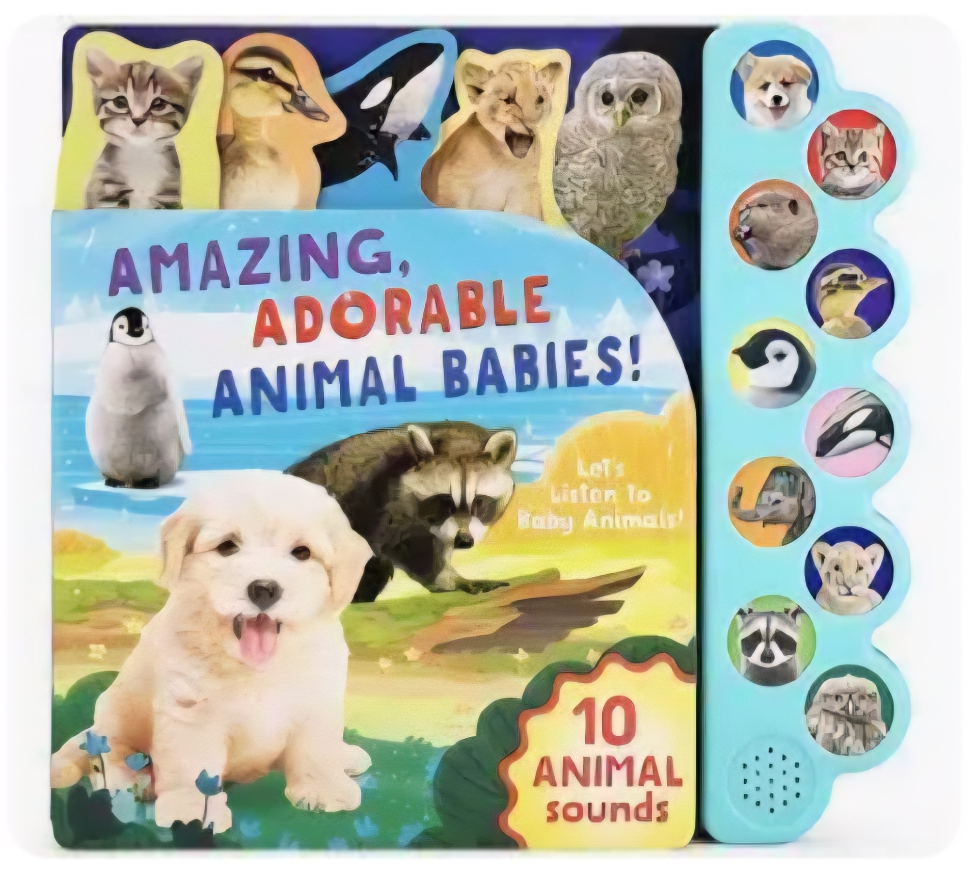 CD PRESS-AMAZING ADORABLE