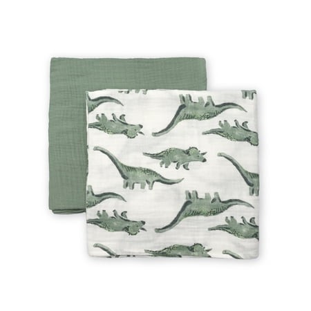 CARTERS MUSLIN BLANKET 2PK